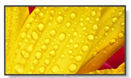 55" 4K Commercial LCD Display